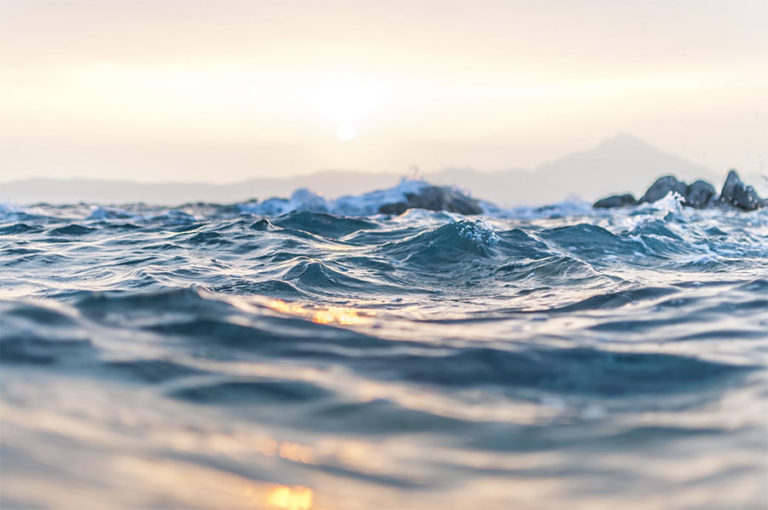 10 choses que vous pouvez faire pour sauver l'Océan